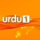 Avatar Of Urdu1Tv
