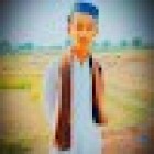 Avatar Of Syed Saqib Bukhari