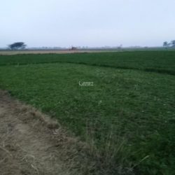 16_kanal_agricultural_land_for_sale_in_sialkot_qila_kalar_wala_nia_manga_1590121561382477874