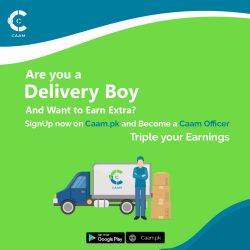 Furniture movers
