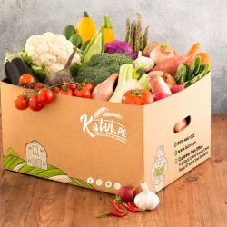 katvi box