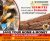 Termite Control in Karachi