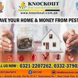 Pest Control in Karachi
