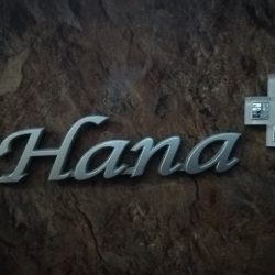 passo hana logo