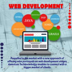 Web-development-copy