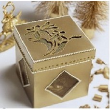 AROGYAM PURE HERBS OBN  KIT