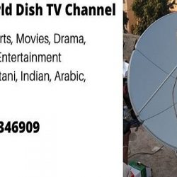 Dish ad