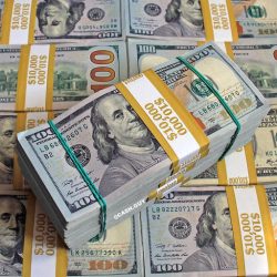 Cash