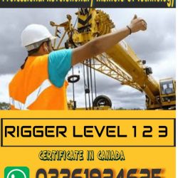 rigger 123