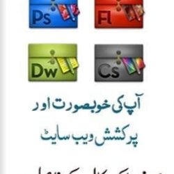 Web hostind and designing - Copy (2)