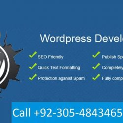 web development - Copy - Copy