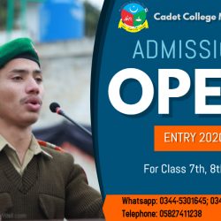Copy of school admission flyer template - Made with PosterMyWall (1)