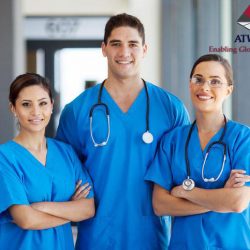 immigration consultants