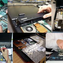 laptops