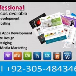 Professional web site - Copy - Copy (2)