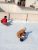 IMG-20200420-WA0003