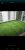 Screenshot_20200501-195721