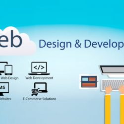 Website Design and Development