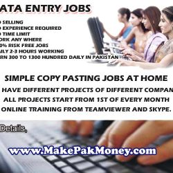 dataentry copy