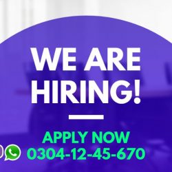 Copy of We Are Hiring Professional
