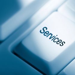services-text1