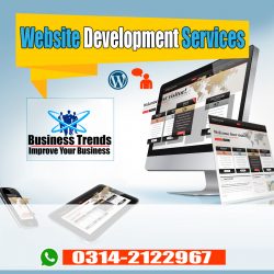Web Development Services