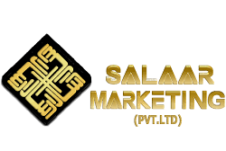 salaar marketing