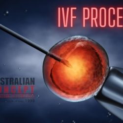 ivf procedure
