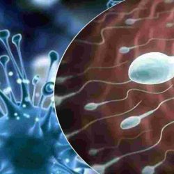 1600x960_1003980-male-infertility