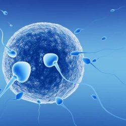 ivf tratment 25