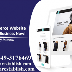 MrEstablish Website Design and Development (6)