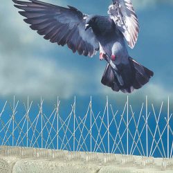 200_bird-spikes-gull-pigeon-crow-rook-weather-water-resistant-proof-gutter-ridge-window-cill-ledge-attic-roof-chimney-default_1_9