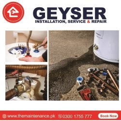 Geyser Repair Installation Service