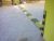 IMG-20171222-WA0038