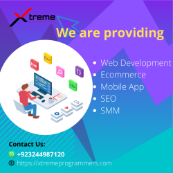 Web Development