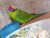 IMG-20210205-WA0014