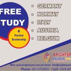 Free Study (3)