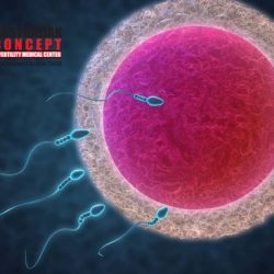 ivf image453