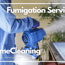 Fumigation Services In Islamabad
