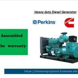 Diesel Genset Local  assembled
