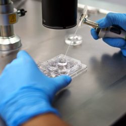 IVF