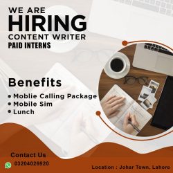 content writer (3)-min