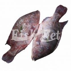Chira fish
