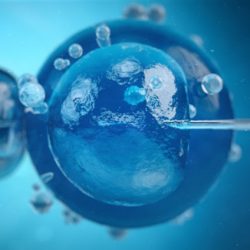 ivf