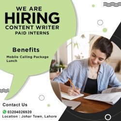 content writer-min