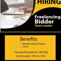 Freelancer bidder 15-01 (1)