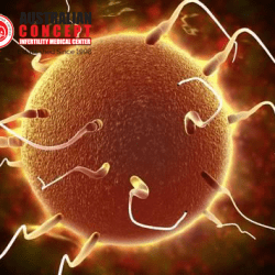 embryoo