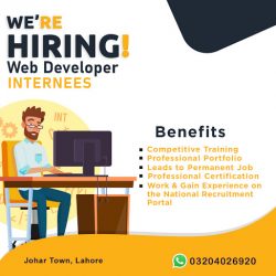 web developer