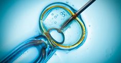 paid egg freezing