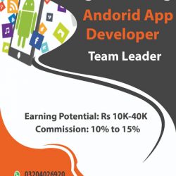 app developer